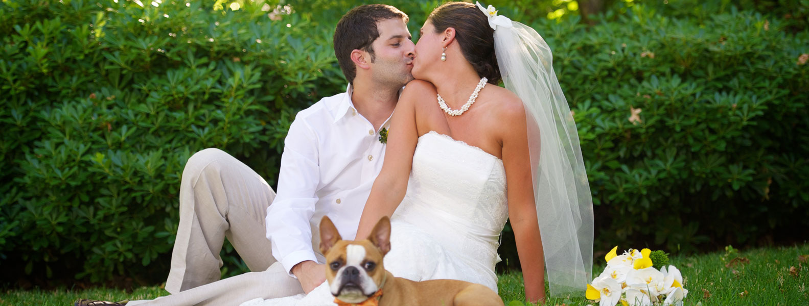 手机号炸弹防护业务